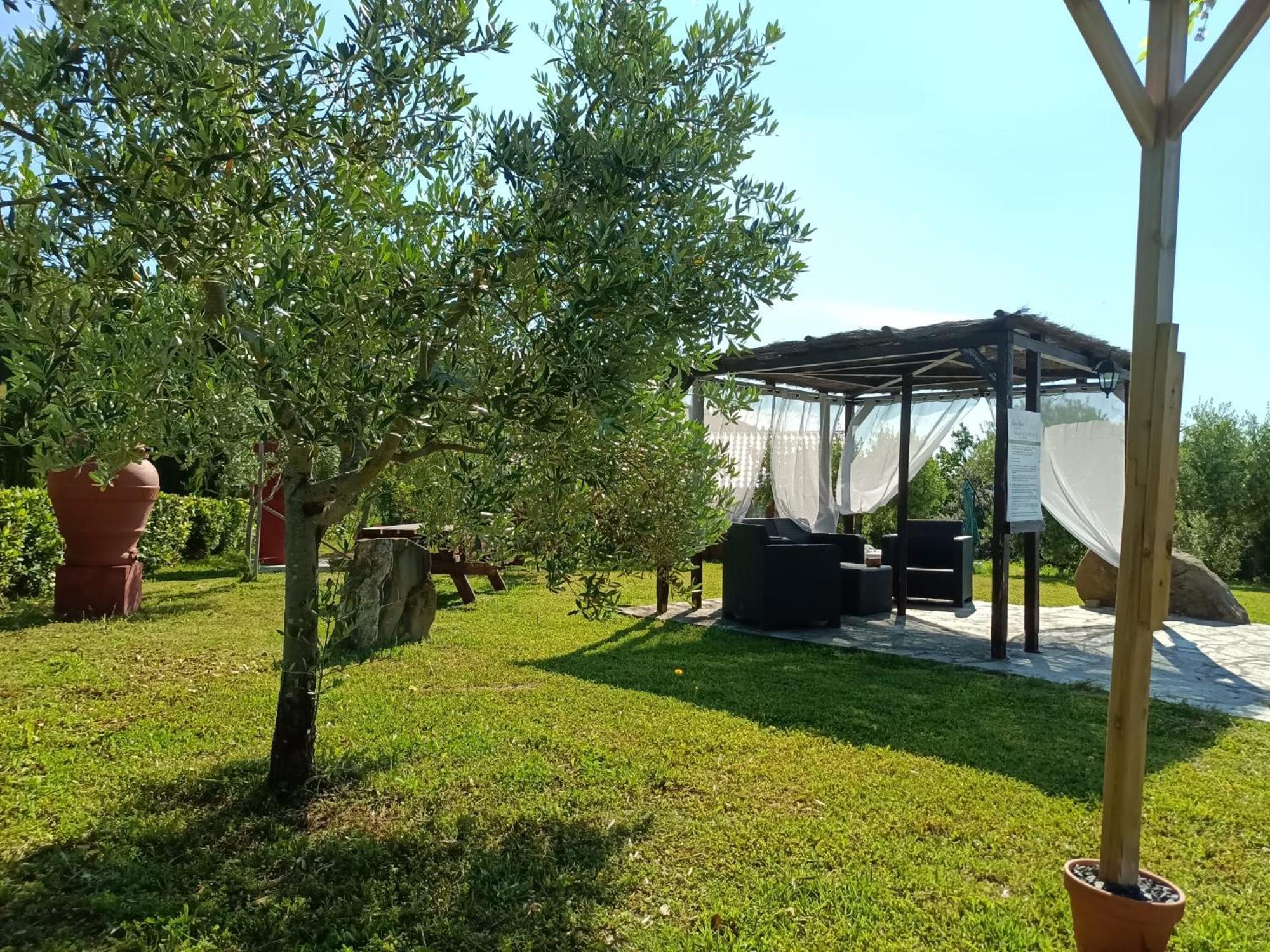 Podere Oliveta Montecatini Val di Cecina Exterior foto
